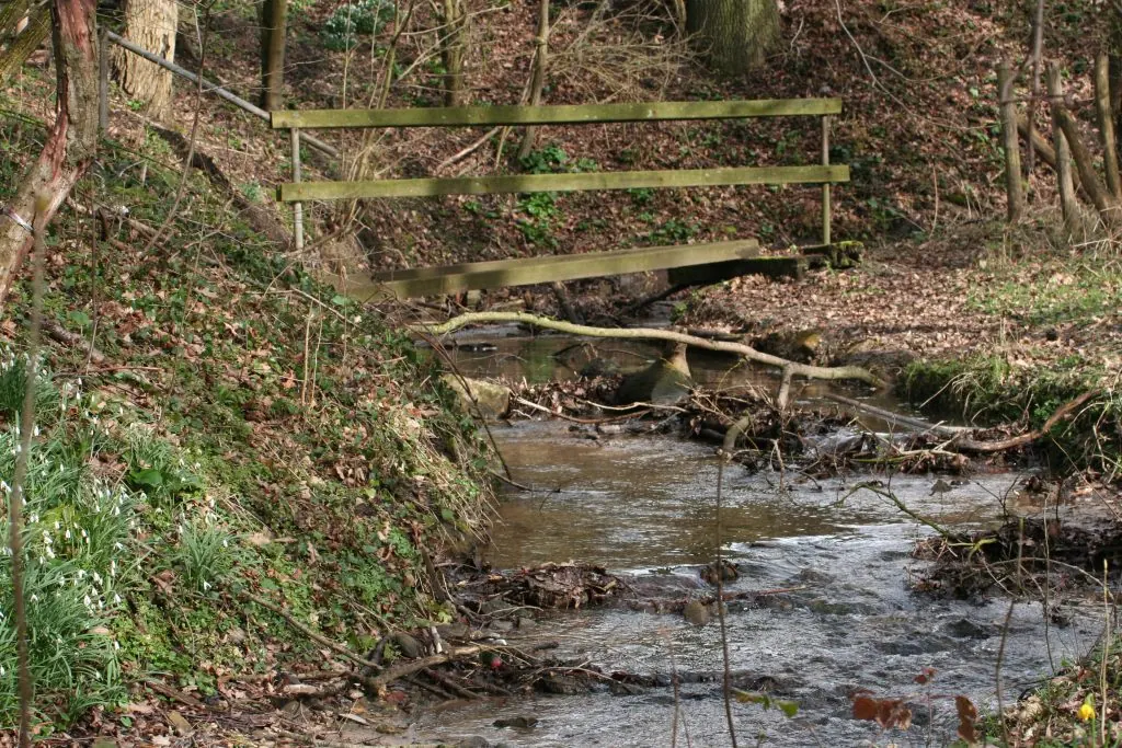 The stream that runs across the grounds, with a small wooden footbridge