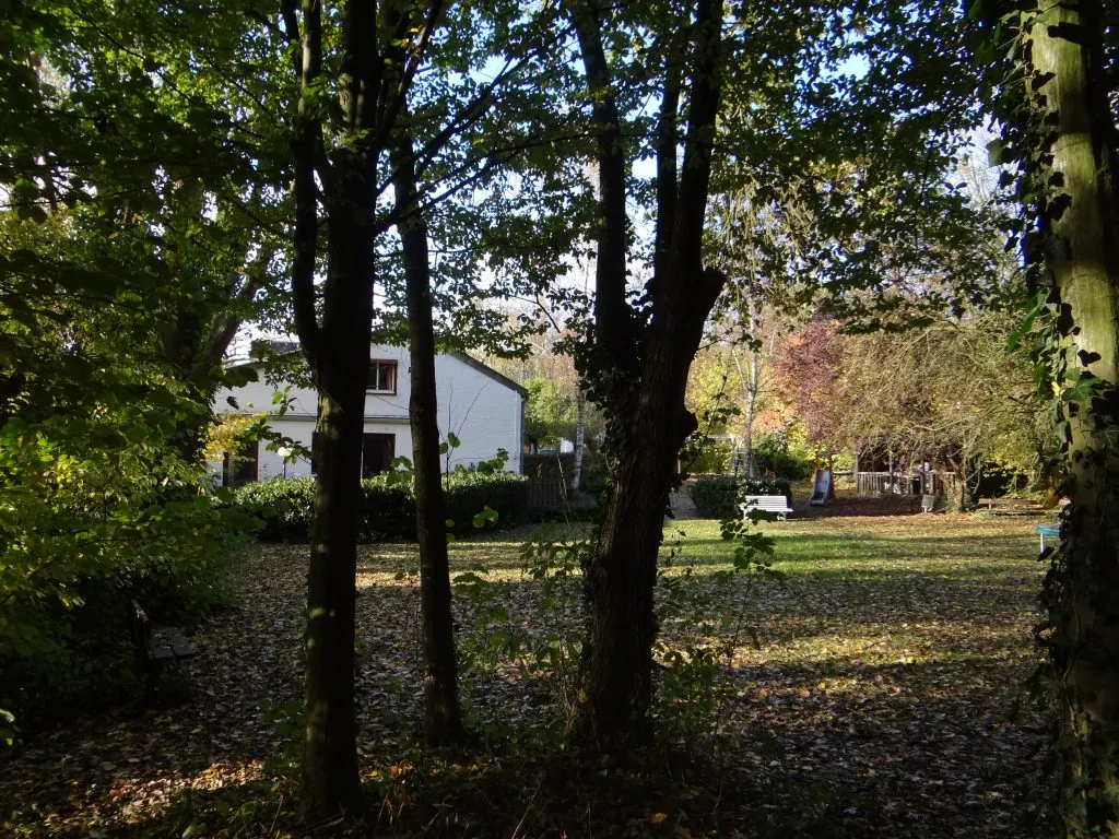 The houses seen from the woods