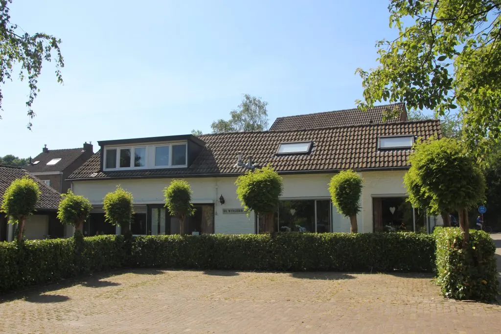 The front of the yard, seen from the drive