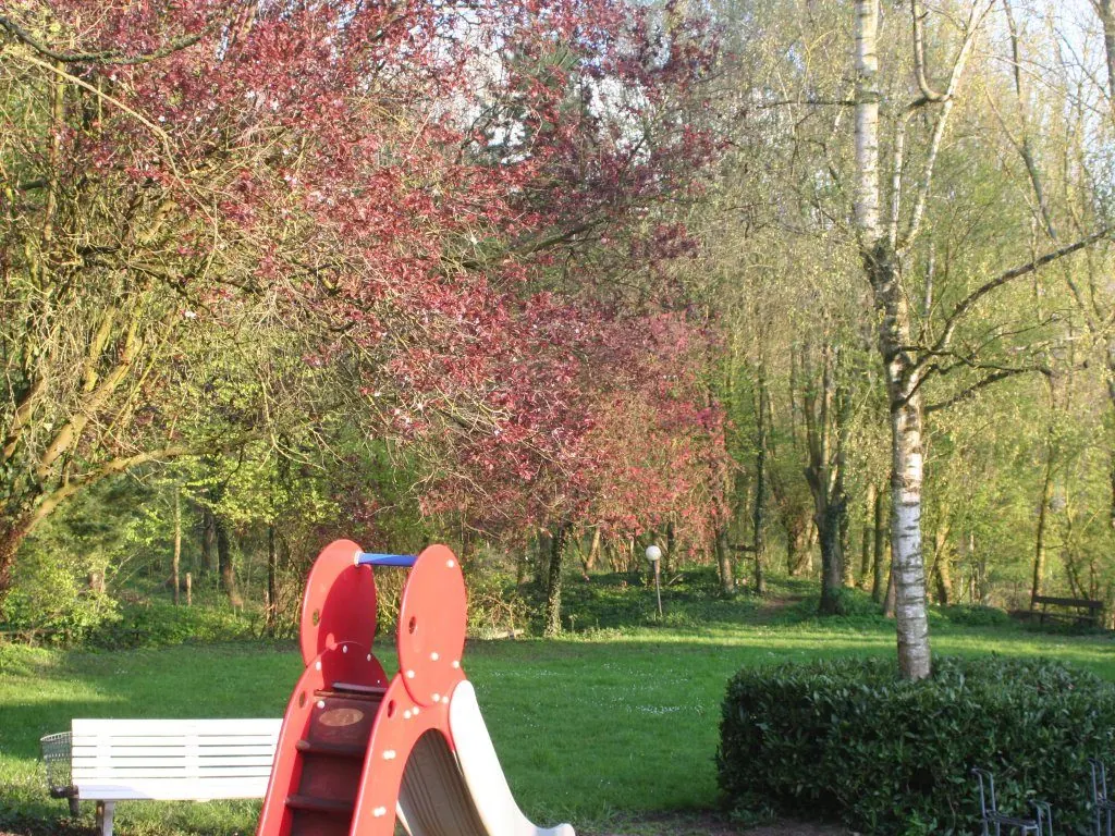 The slide and the play field
