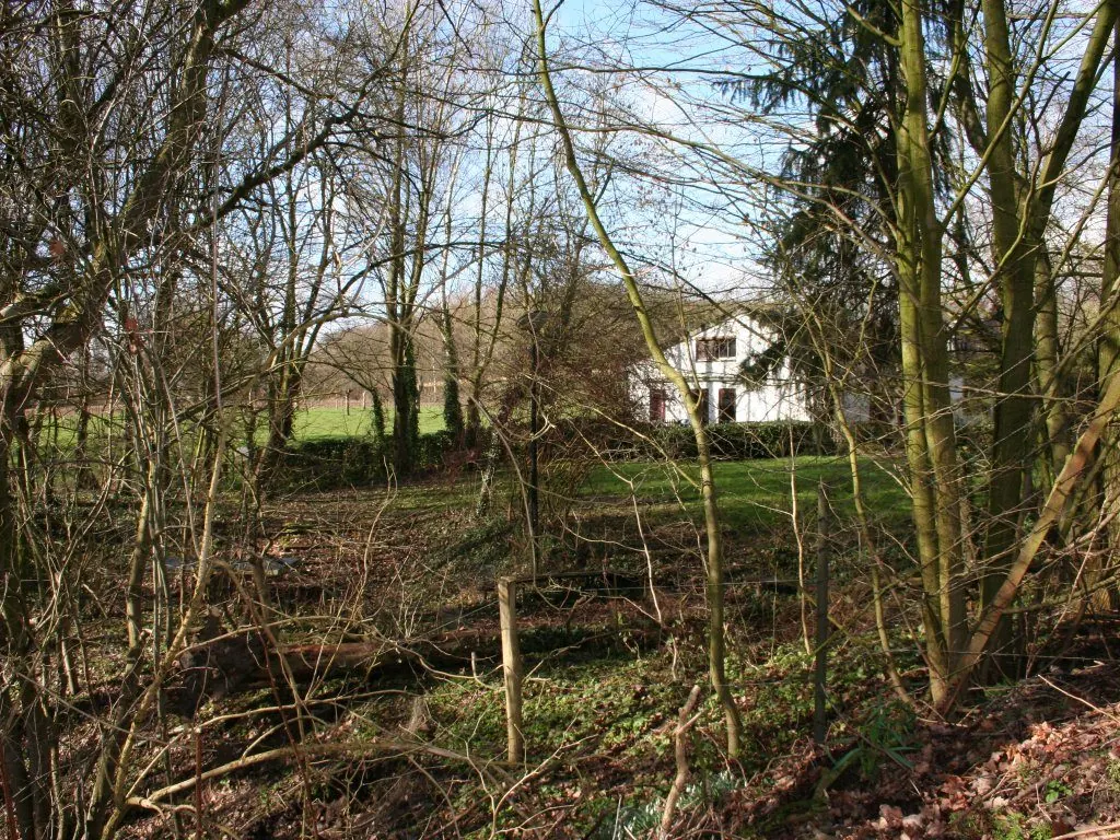 The private woods and the field behind the houses