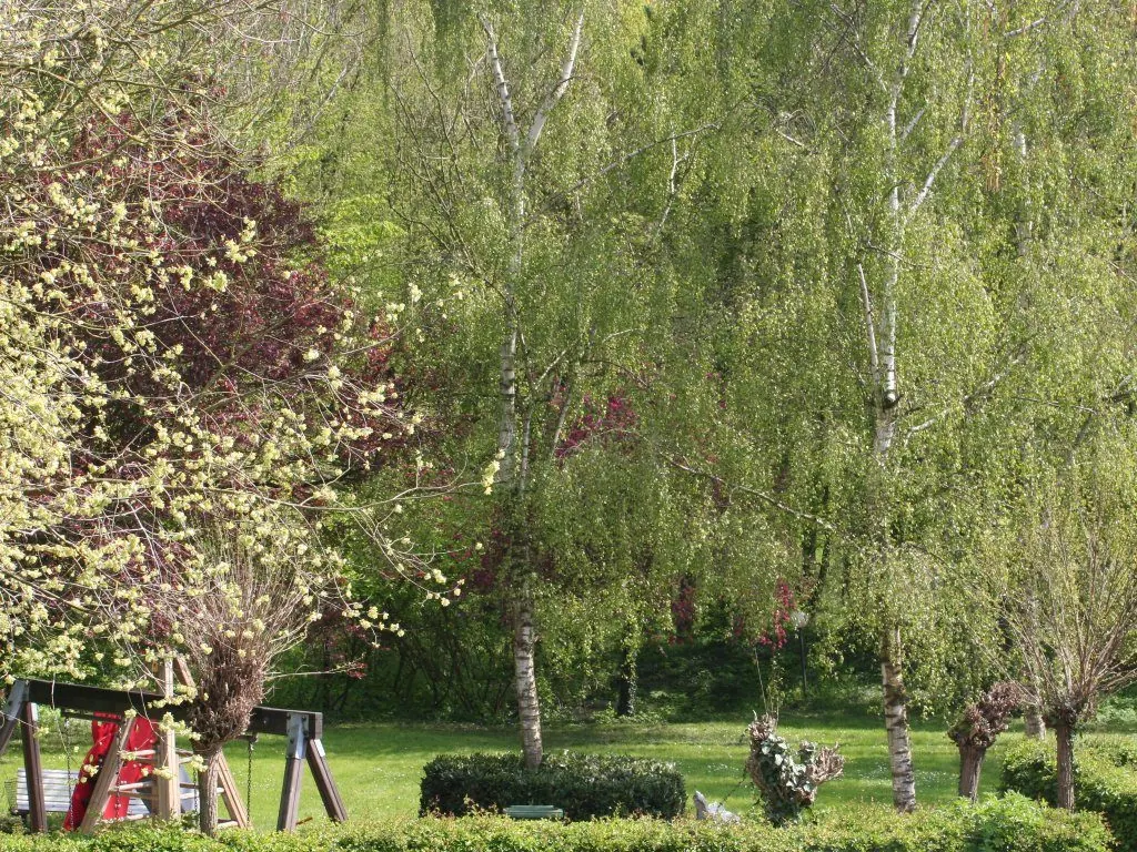The garden with play equipment and blossom trees