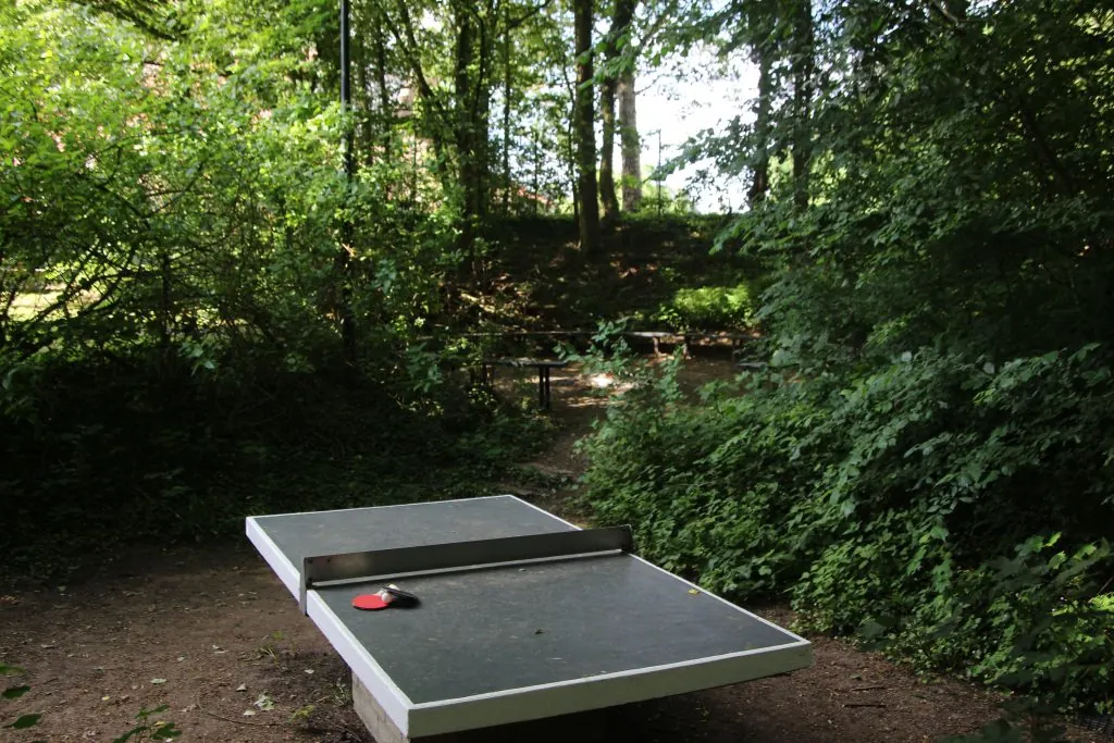 The outdoor table tennis table at the edge of the woods
